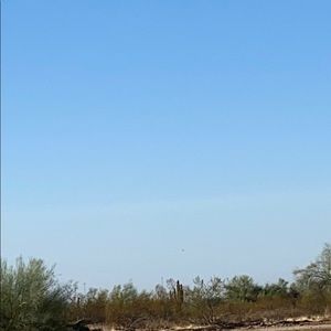 Meet your Posher, Sergio